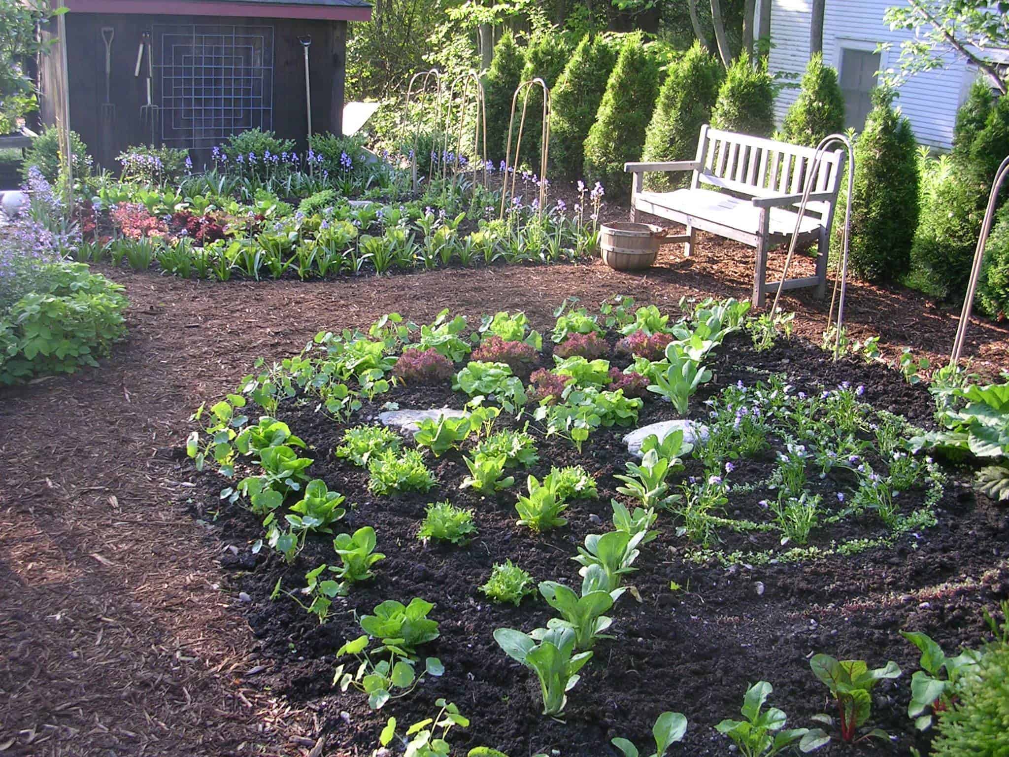 kitchen garden design pictures