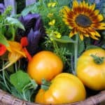 211 harvest basket 3 211 harvest basket 3