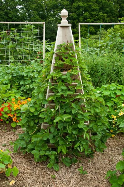 Kitchen Garden Designs at Kripalu Yoga Center  Ellen Ecker Ogden