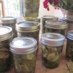 107. sweet dill pickles