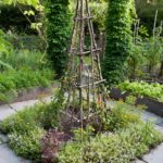 DSC_0008-61 The Artists Garden