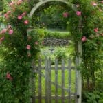 DSC_0035-1-31-3 The Rose Arbor Entrance