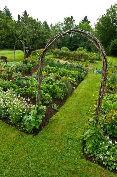 Photo from The Complete Kitchen Garden