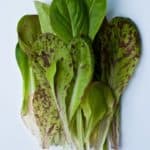 mesclun