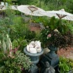 paper parasols at Jan's Garden The Paint Box Garden