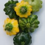 patty pan swuash