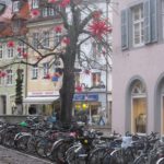 Bikes: the sensible way to travel