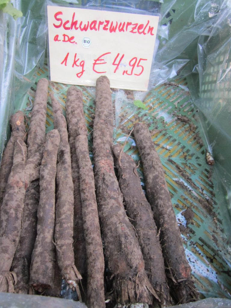 schorzenero. black salsify