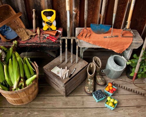 Lectures and Workshops: Kitchen Garden Designs.