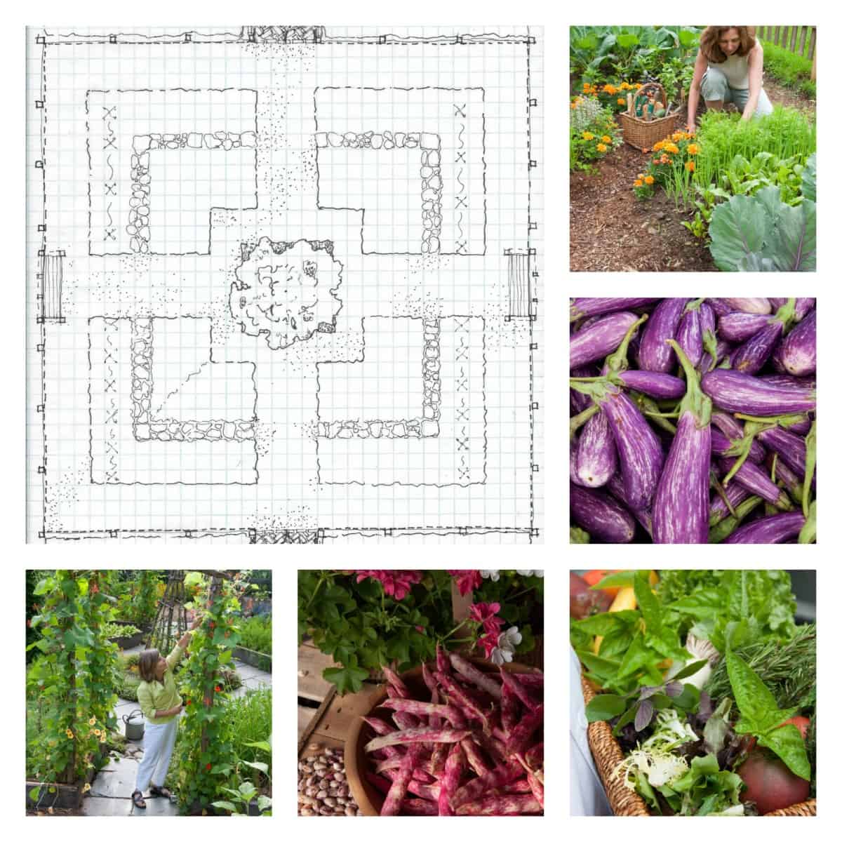 How to design a kitchen garden Ellen Ecker Ogden
