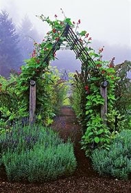 Kitchen Garden Designer- Ellen Ecker Ogden