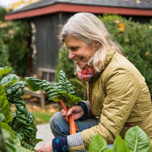 Ellen Ecker Ogden - Fresh Ideas For The Kitchen Gardener!